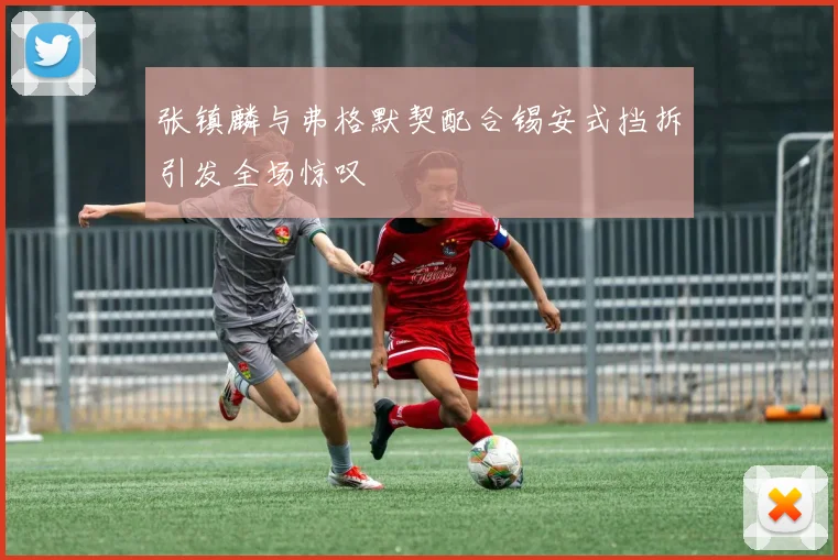 张镇麟与弗格默契配合锡安式挡拆引发全场惊叹