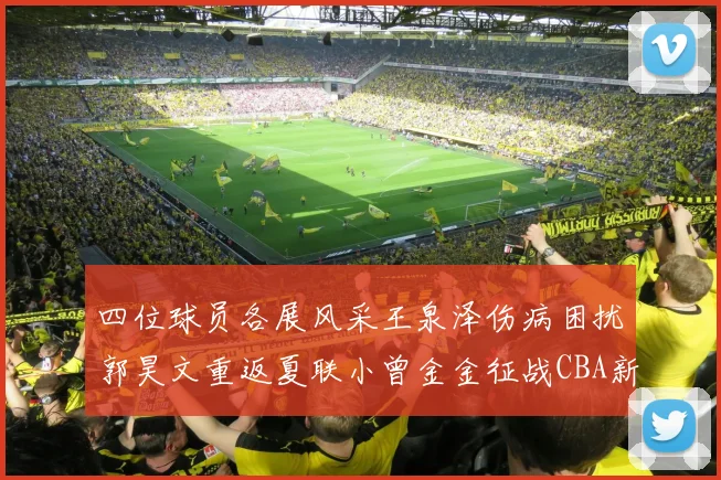 四位球员各展风采王泉泽伤病困扰郭昊文重返夏联小曾金金征战CBA新赛季